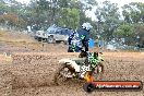 Champions Ride Days MotoX Broadford 24 11 2013 - 6CR_2511