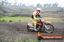 Champions Ride Days MotoX Broadford 24 11 2013 - 6CR_2514