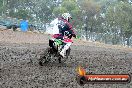 Champions Ride Days MotoX Broadford 24 11 2013 - 6CR_2544