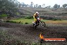 Champions Ride Days MotoX Broadford 24 11 2013 - 6CR_2561