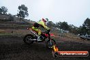 Champions Ride Days MotoX Broadford 24 11 2013 - 6CR_2564