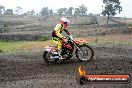 Champions Ride Days MotoX Broadford 24 11 2013 - 6CR_2579