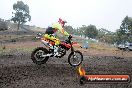 Champions Ride Days MotoX Broadford 24 11 2013 - 6CR_2581