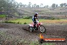 Champions Ride Days MotoX Broadford 24 11 2013 - 6CR_2589