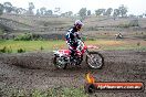 Champions Ride Days MotoX Broadford 24 11 2013 - 6CR_2590