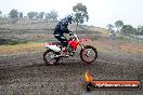 Champions Ride Days MotoX Broadford 24 11 2013 - 6CR_2597