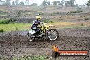 Champions Ride Days MotoX Broadford 24 11 2013 - 6CR_2604