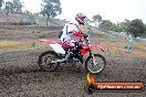 Champions Ride Days MotoX Broadford 24 11 2013 - 6CR_2616