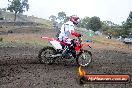 Champions Ride Days MotoX Broadford 24 11 2013 - 6CR_2617