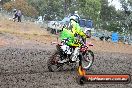 Champions Ride Days MotoX Broadford 24 11 2013 - 6CR_2629
