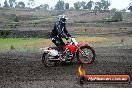 Champions Ride Days MotoX Broadford 24 11 2013 - 6CR_2637