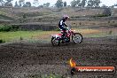 Champions Ride Days MotoX Broadford 24 11 2013 - 6CR_2640