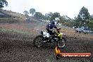 Champions Ride Days MotoX Broadford 24 11 2013 - 6CR_2653