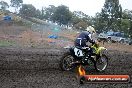 Champions Ride Days MotoX Broadford 24 11 2013 - 6CR_2654