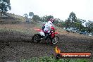 Champions Ride Days MotoX Broadford 24 11 2013 - 6CR_2660