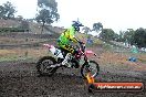 Champions Ride Days MotoX Broadford 24 11 2013 - 6CR_2668