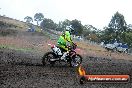 Champions Ride Days MotoX Broadford 24 11 2013 - 6CR_2670