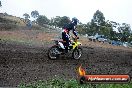 Champions Ride Days MotoX Broadford 24 11 2013 - 6CR_2678
