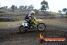 Champions Ride Days MotoX Broadford 24 11 2013 - 6CR_2685