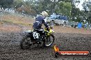 Champions Ride Days MotoX Broadford 24 11 2013 - 6CR_2688