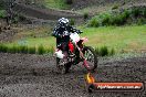 Champions Ride Days MotoX Broadford 24 11 2013 - 6CR_2692