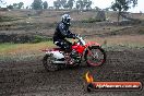 Champions Ride Days MotoX Broadford 24 11 2013 - 6CR_2694