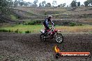 Champions Ride Days MotoX Broadford 24 11 2013 - 6CR_2696