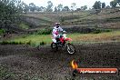 Champions Ride Days MotoX Broadford 24 11 2013 - 6CR_2714