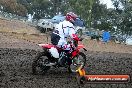 Champions Ride Days MotoX Broadford 24 11 2013 - 6CR_2719