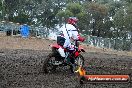 Champions Ride Days MotoX Broadford 24 11 2013 - 6CR_2720