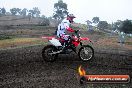 Champions Ride Days MotoX Broadford 24 11 2013 - 6CR_2742