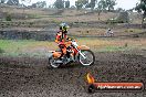 Champions Ride Days MotoX Broadford 24 11 2013 - 6CR_2798