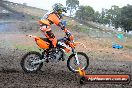 Champions Ride Days MotoX Broadford 24 11 2013 - 6CR_2800
