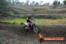 Champions Ride Days MotoX Broadford 24 11 2013 - 6CR_2807