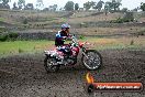 Champions Ride Days MotoX Broadford 24 11 2013 - 6CR_2808