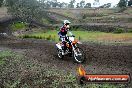 Champions Ride Days MotoX Broadford 24 11 2013 - 6CR_2814