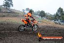 Champions Ride Days MotoX Broadford 24 11 2013 - 6CR_2844