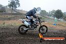 Champions Ride Days MotoX Broadford 24 11 2013 - 6CR_2852