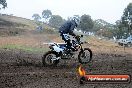 Champions Ride Days MotoX Broadford 24 11 2013 - 6CR_2853