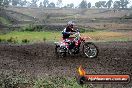 Champions Ride Days MotoX Broadford 24 11 2013 - 6CR_2856