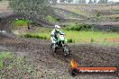 Champions Ride Days MotoX Broadford 24 11 2013 - 6CR_2877