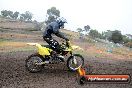 Champions Ride Days MotoX Broadford 24 11 2013 - 6CR_2887