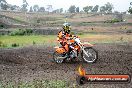 Champions Ride Days MotoX Broadford 24 11 2013 - 6CR_2891