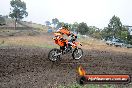 Champions Ride Days MotoX Broadford 24 11 2013 - 6CR_2894