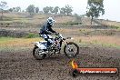 Champions Ride Days MotoX Broadford 24 11 2013 - 6CR_2899