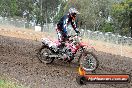 Champions Ride Days MotoX Broadford 24 11 2013 - 6CR_2918