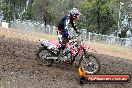 Champions Ride Days MotoX Broadford 24 11 2013 - 6CR_2919
