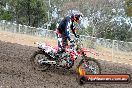 Champions Ride Days MotoX Broadford 24 11 2013 - 6CR_2921