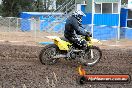 Champions Ride Days MotoX Broadford 24 11 2013 - 6CR_2935
