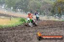 Champions Ride Days MotoX Broadford 24 11 2013 - 6CR_2956